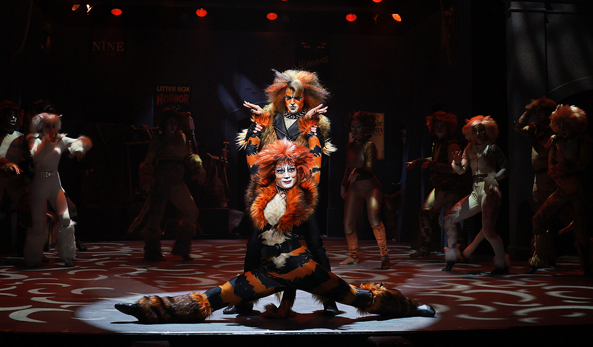 Bombalurina and Rum Tum Tugger IMG_0958